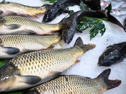 Столичные рыбные рынки изменят график работы в праздничные дни