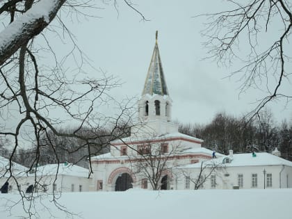 Сотрудники МЗ «Коломенское» пригласили горожан на выставку