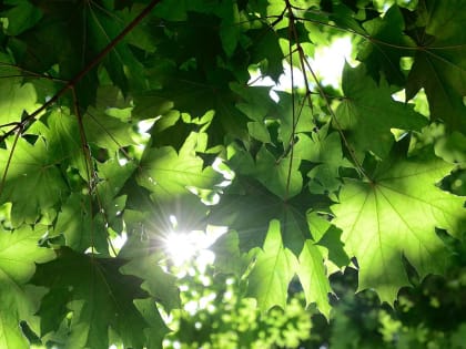 Всероссийский день ходьбы: уникальные маршруты для москвичей