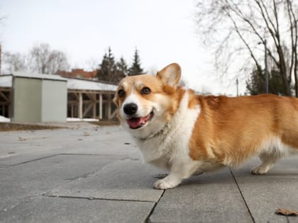 Синоптик Позднякова рассказала о погоде в Москве на выходных