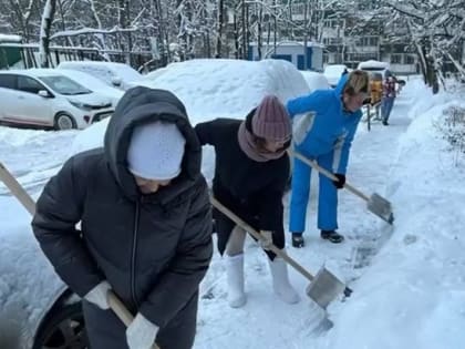 Общественные советники Матушкино являются примером трудолюбия и активности