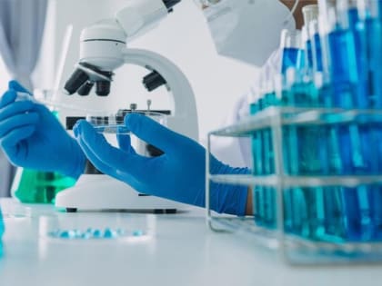 Отсутствие случаев заражения бактерией Vibrio vulniсifus в России
