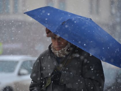 Синоптики предупредили москвичей о пасмурной и ветреной погоде