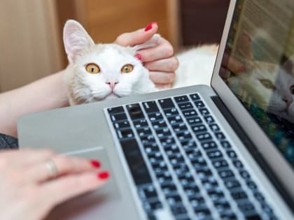 В Москве победителями второго розыгрыша «Миллиона призов» стали 629 тыс 75 человек