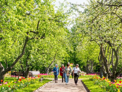Переменная облачность и до 24 градусов тепла ожидаются в Москве 22 мая