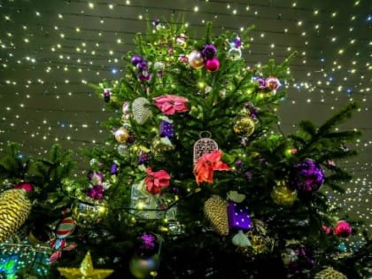 ЦКиД «Академический» приглашает детей на программу «Навстречу чудесам» 2—8 января