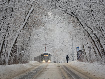 Москвичи на 20 процентов чаще стали передвигаться на трамваях