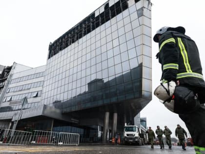 Путину напрямую докладывали о задержании террористов – Песков