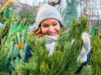 «Зима в Москве»: 270 елочных базаров открылись в столице