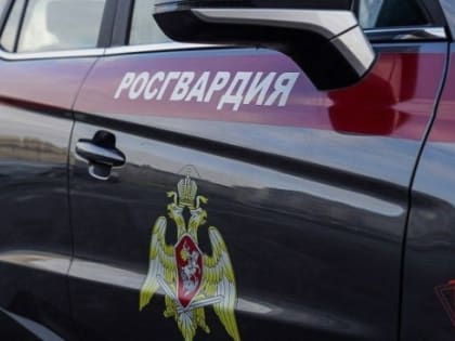 Росгвардейцы пресекли хулиганство в столичном торговом центре на Азовской улице