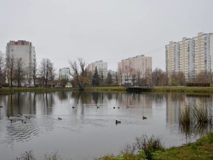 Понимание комплексных кадастровых работ