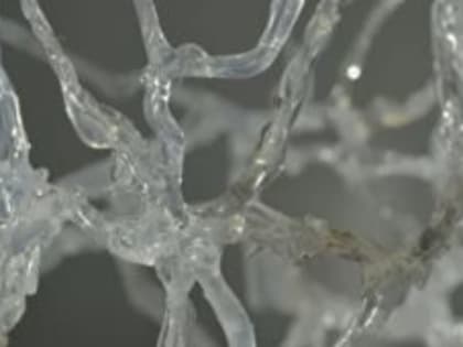 Выставка завершится в скором времени в ЦСИ «Винзавод»