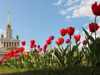 Более двух тысяч спортсменов поучаствовало в параде на ВДНХ в Москве