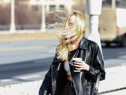 Москвичей предупредили об усилении ветра до 17 метров в секунду 30 апреля