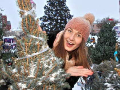 Елочные базары открылись по трем адресам в районе Ясенево