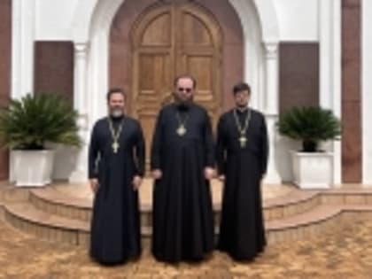 Начался визит и.о. Патриаршего экзарха Африки в ЮАР