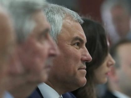 Вячеслав Володин: либо государство обладает суверенитетом, либо становится колонией — другого не дано