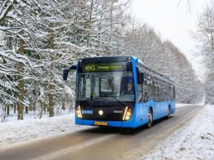 До кинопарка «Москино» теперь можно добраться на автобусах от станции метро «Теплый Стан»