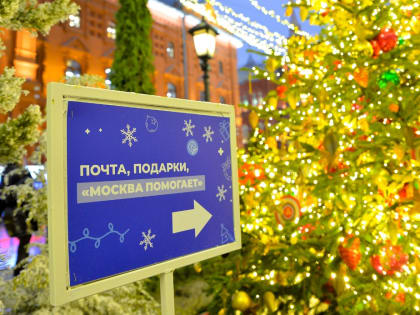 Сергунина рассказала о проекте «Москва помогает» в рамках фестиваля «Путешествие в Рождество»