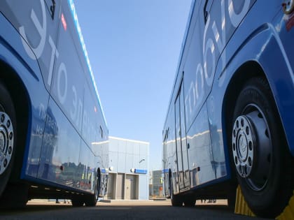 Электробусы заменили автобусы на маршрутах т59 и № 587 в Москве
