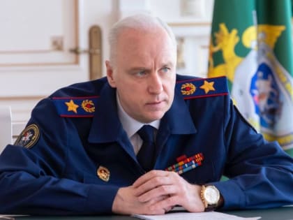 Бастрыкин запросил доклад о проверке по факту травмирования девочки в ТЦ Москвы