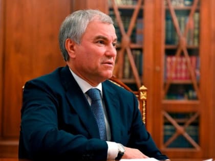 Володин поручил проработать смягчение наказаний за ненасильственные преступления