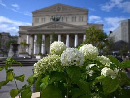 Самое жаркое 1 сентября в Москве за XXI век