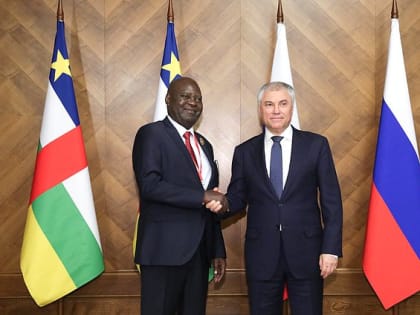 Состоялась встреча Председателя ГД с Председателем Национального собрания Центральноафриканской Республики