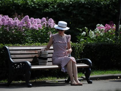 Синоптики спрогнозировали в Москве ясный и теплый день 28 мая