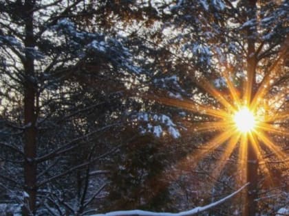 Специалисты экопроекта «Гнездо вяхиря» проведут 23 декабря акцию «День зимнего солнцестояния»