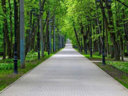 Парк «Фили» участвует в голосовании на звание лучшего городского парка для пробежек