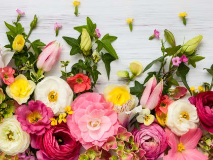 Цветочный своп будет проходить с 5 по 8 марта в галерее «Богородское»