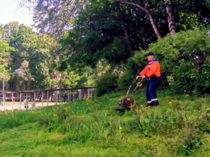 В Черемушках проводят летние работы по уходу за зелеными насаждениями