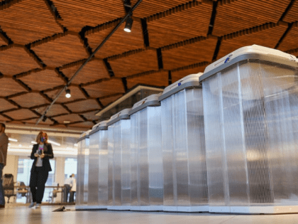 Общественный штаб: Москвичи активно голосуют на избирательных участках