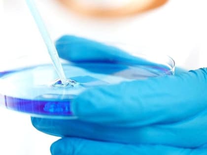 Ответственность за провоз в Россию патогенных микроорганизмов может усилиться