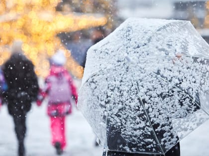 Синоптик Ильин рассказал о погоде в Москве на старый Новый год