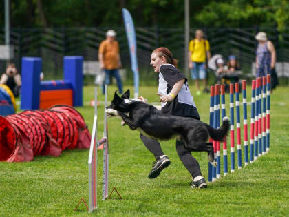 «Лето в Москве»: в столице прошел открытый чемпионат по аджилити