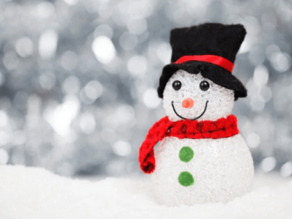 Программу «День снеговика» организуют 18 января в библиотеке №192