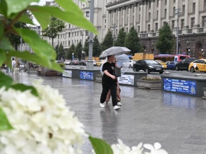 Дождь и гроза ожидаются в Москве 30 июня