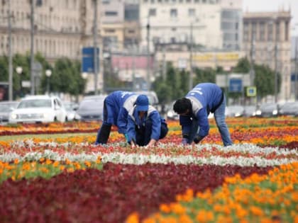 Гранитную облицовку цветников обновили на Кутузовском проспекте