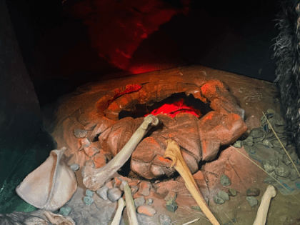 В Дарвиновском музее провели реэкспозицию интерактивного лабиринта «Пройди путем эволюции»