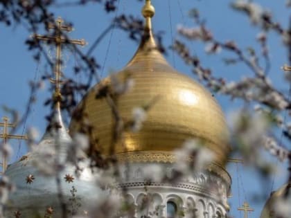 Ученики Академической школы посетили храм Всех преподобных отцев Киево-Печерских