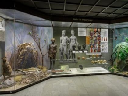 В Дарвиновском музее провели реэкспозицию витрины в зале «Макроэволюция»
