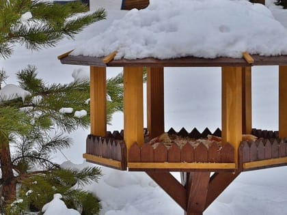 Погода в Москве: предстоящая гололедица и осадки