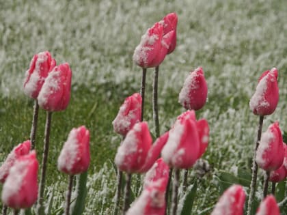 Североатлантический циклон «Хельма» принесет похолодание в Москву