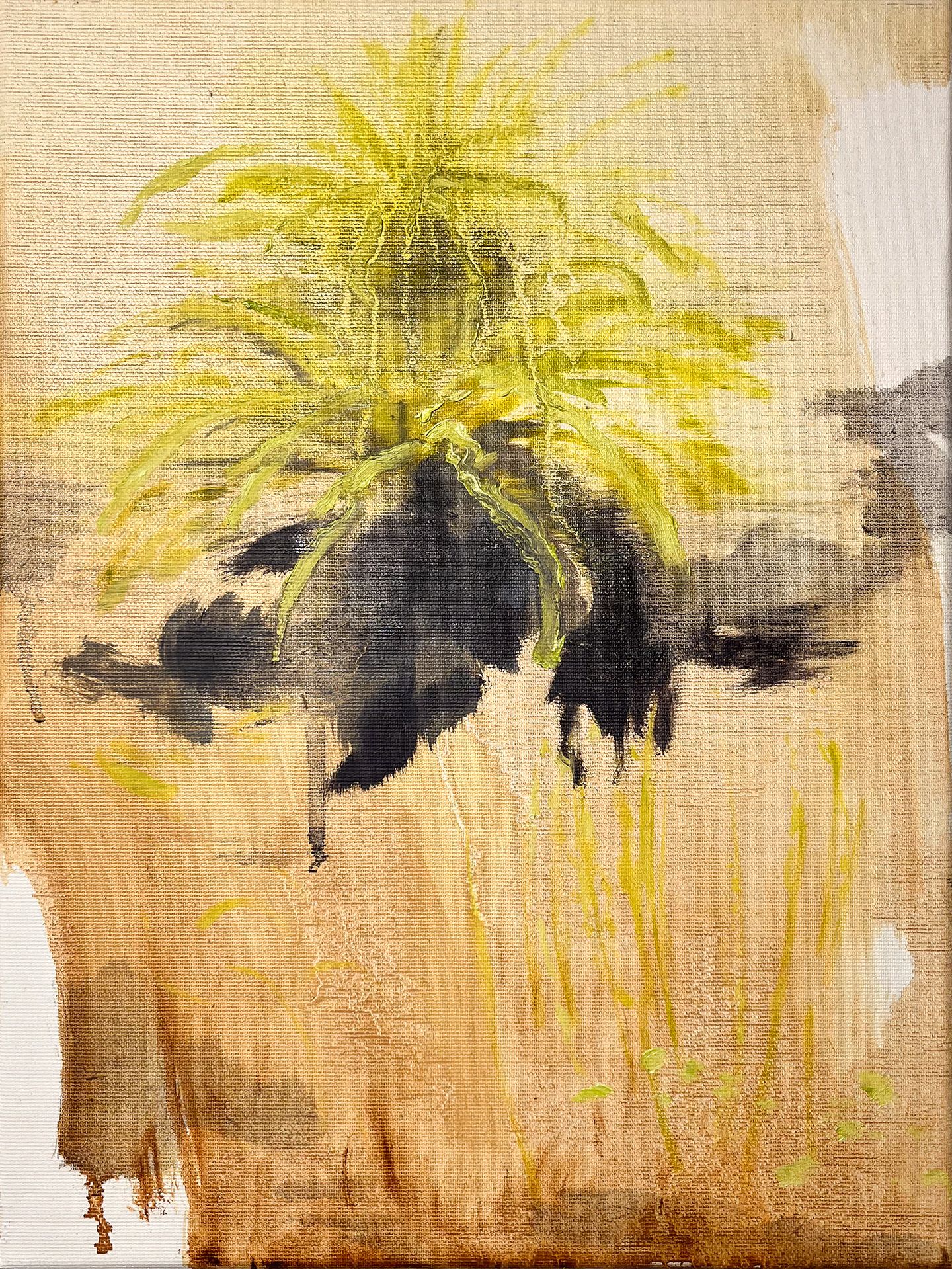 A desertplant glowing in the vast dry surrounding. Something adapted itself, something will therefor grow. 