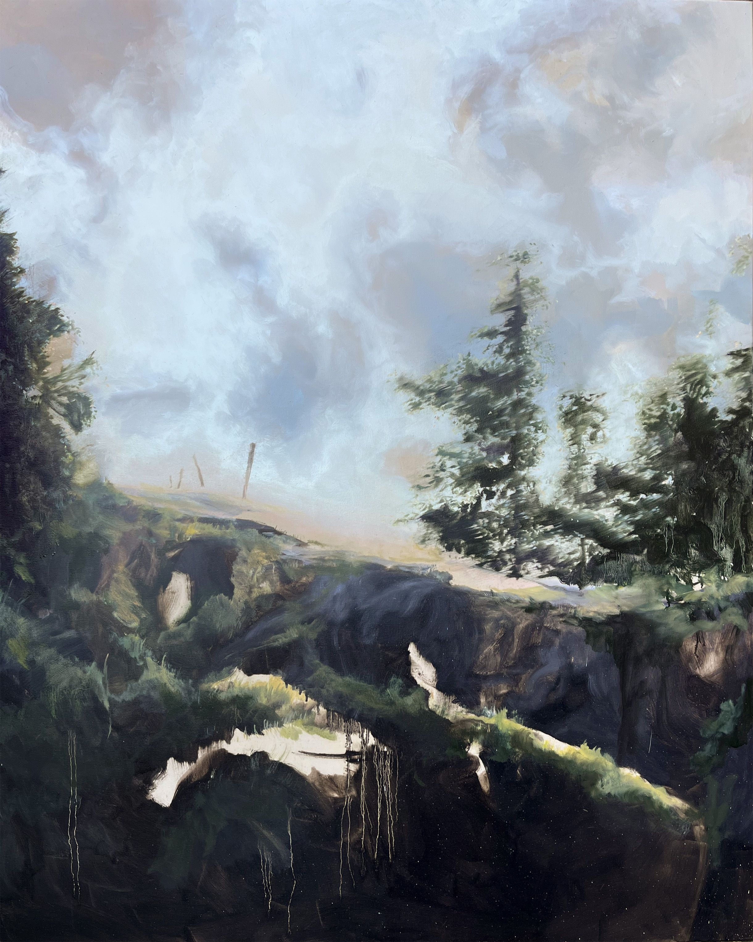 A forrest up there.