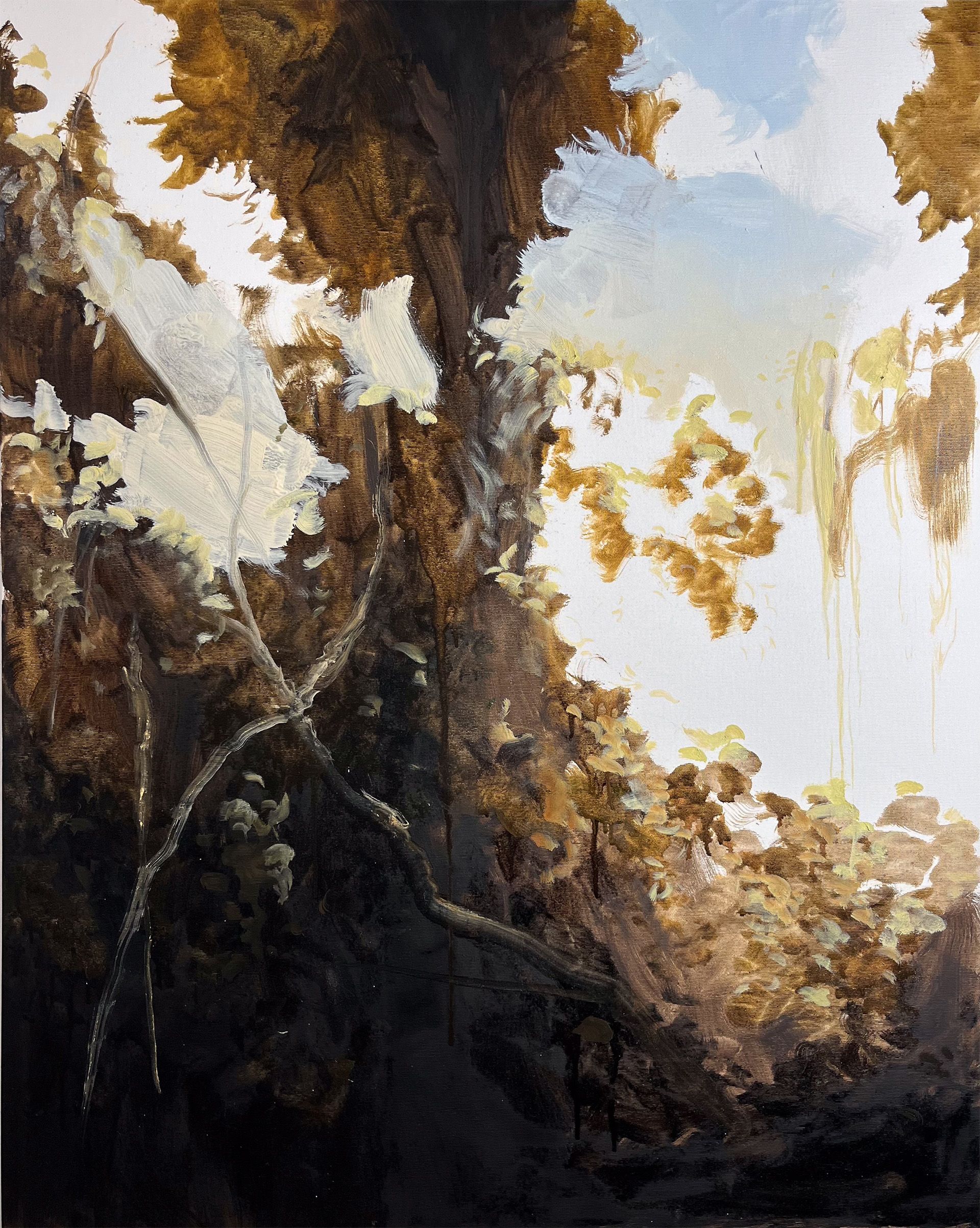Dark colors reveal a beautiful light behind. 