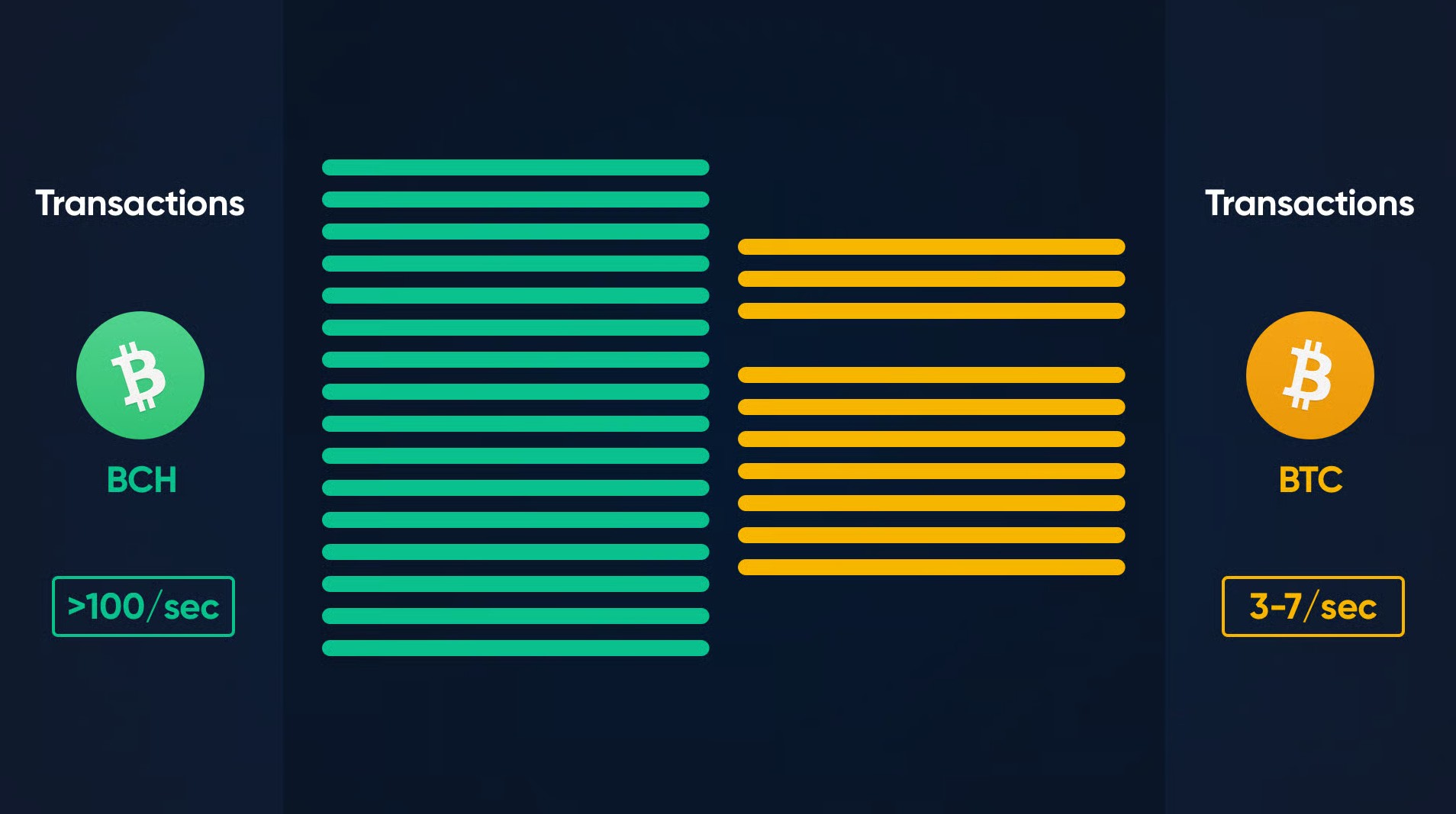 Bitcoin 101 motion design