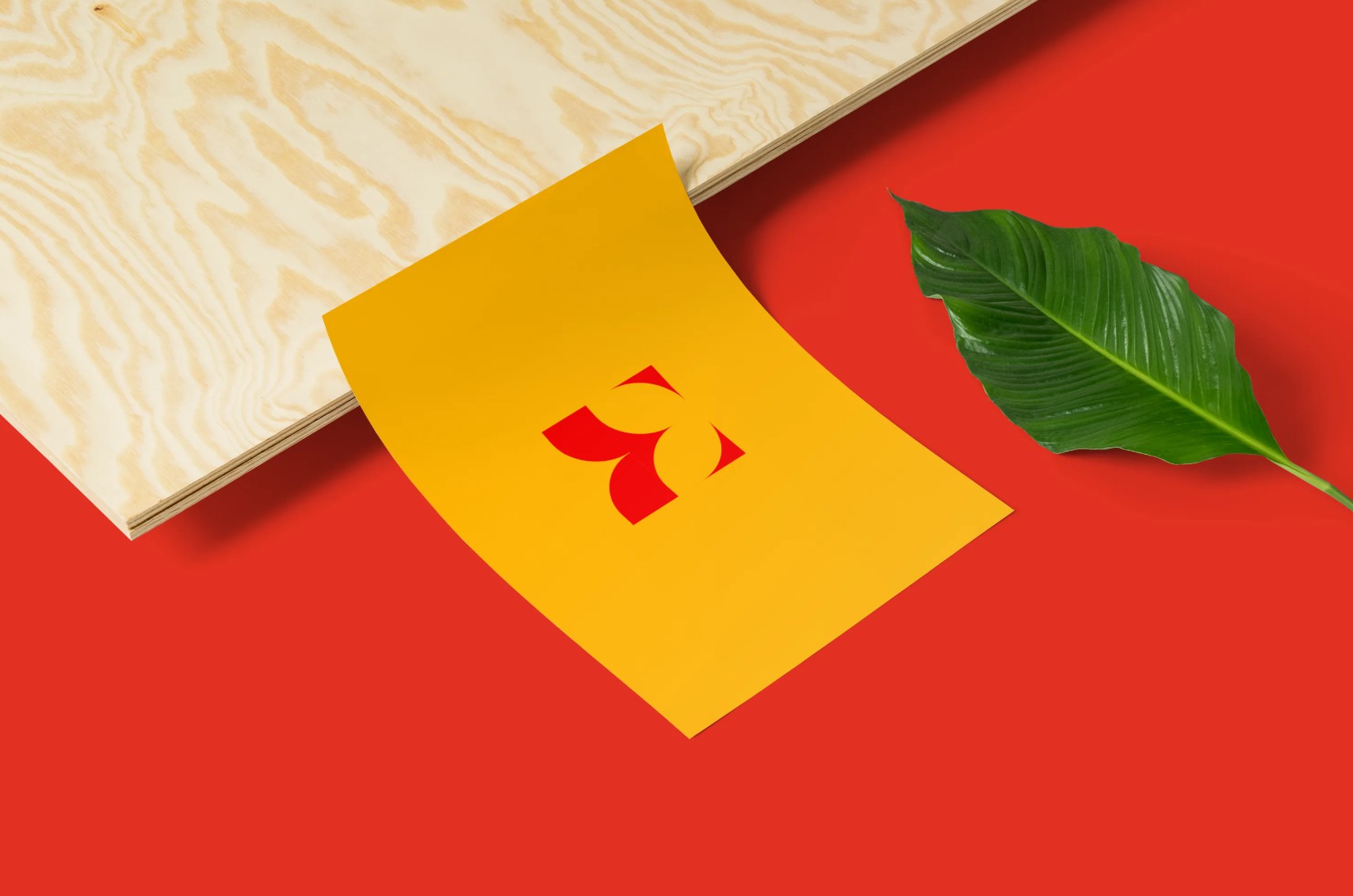 Alessandra & Lange business cards